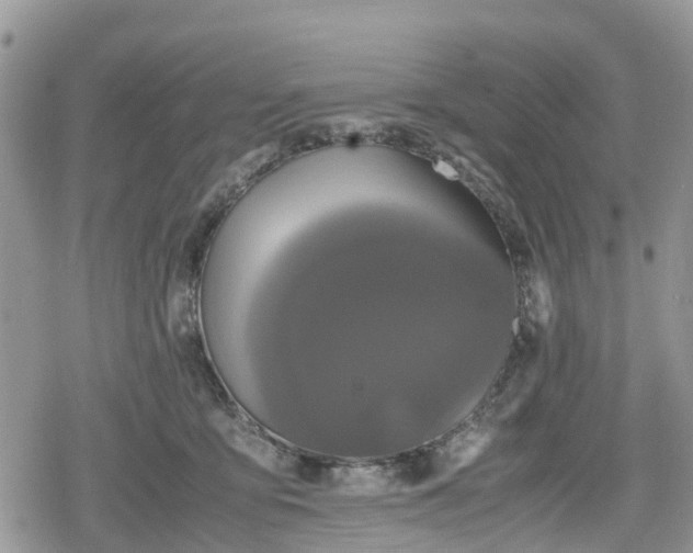 X0000078860419200611271416