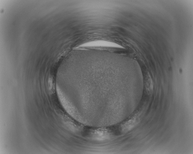 X0000078860420200611271416