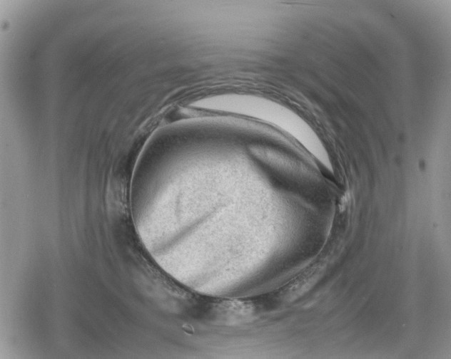 X0000078860421200611271416