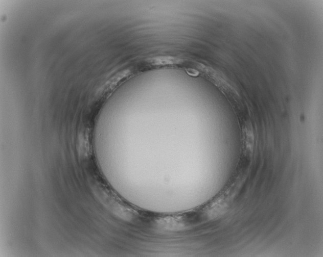 X0000078860422200611271416