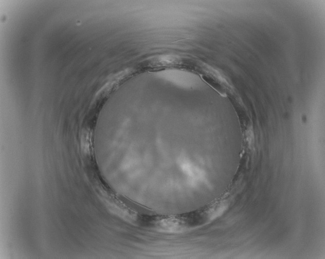 X0000078860423200611271416