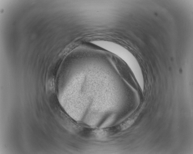 X0000078860425200611271416