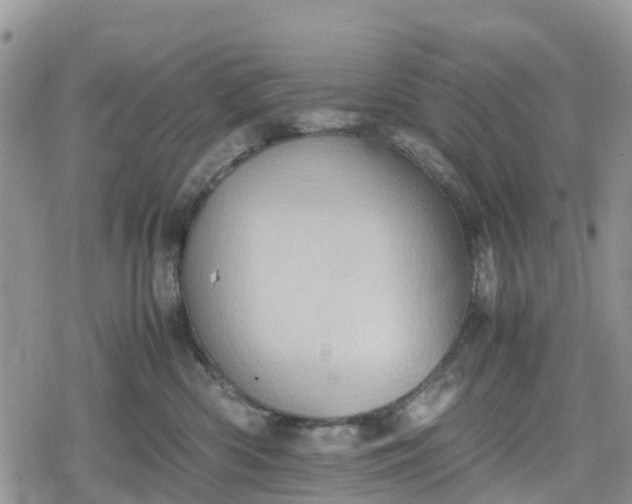 X0000078860426200611271416