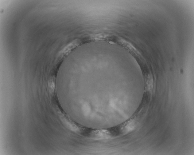 X0000078860427200611271416