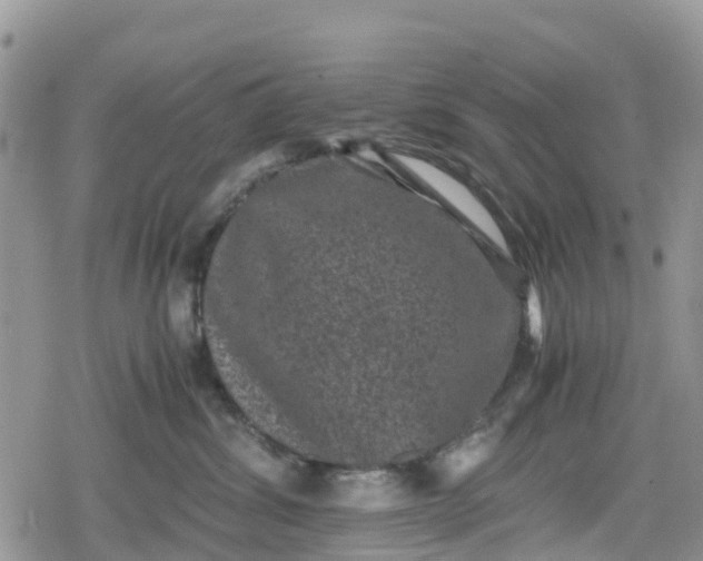 X0000078860428200611271416