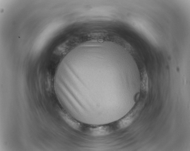 X0000078860430200611271416