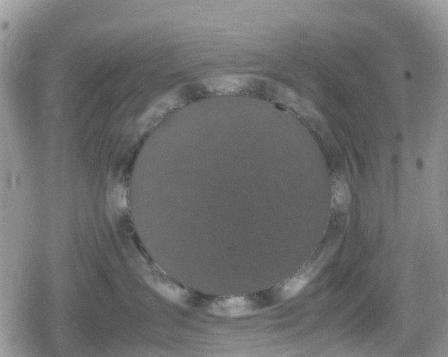 X0000078860431200611271416