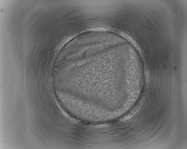 X0000078860433200611271415