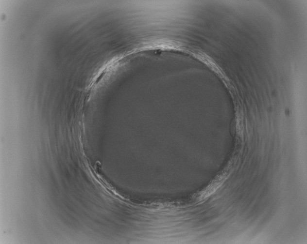 X0000078860434200611271415