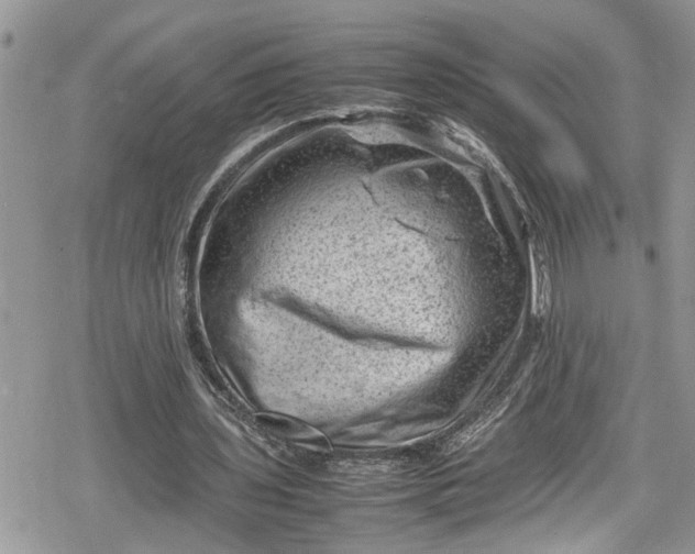 X0000078860435200611271416