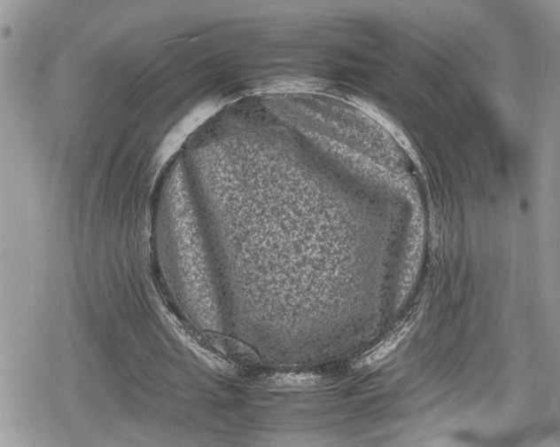 X0000078860437200611271416