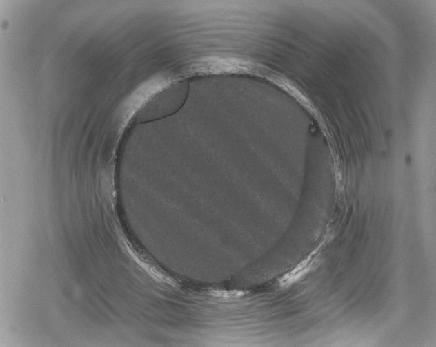 X0000078860438200611271416