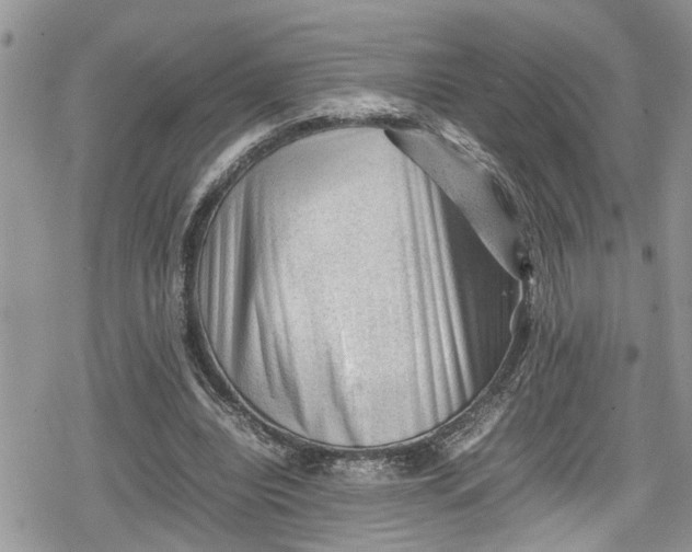 X0000078860440200611271416