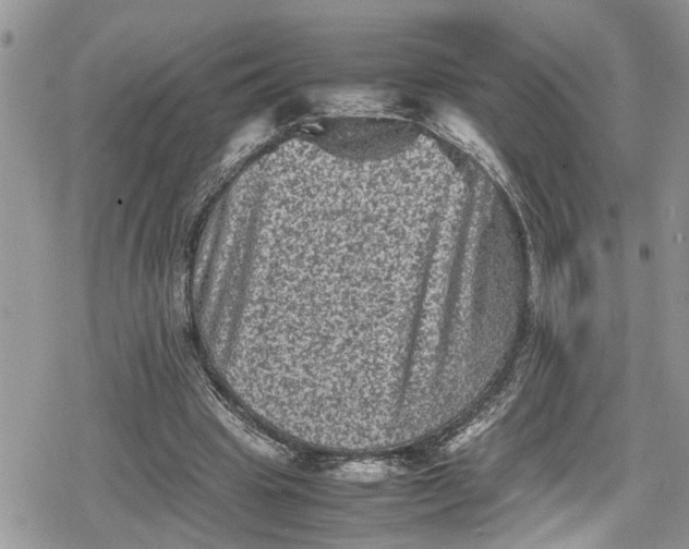 X0000078860441200611271416