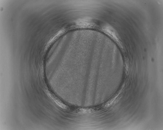 X0000078860442200611271416