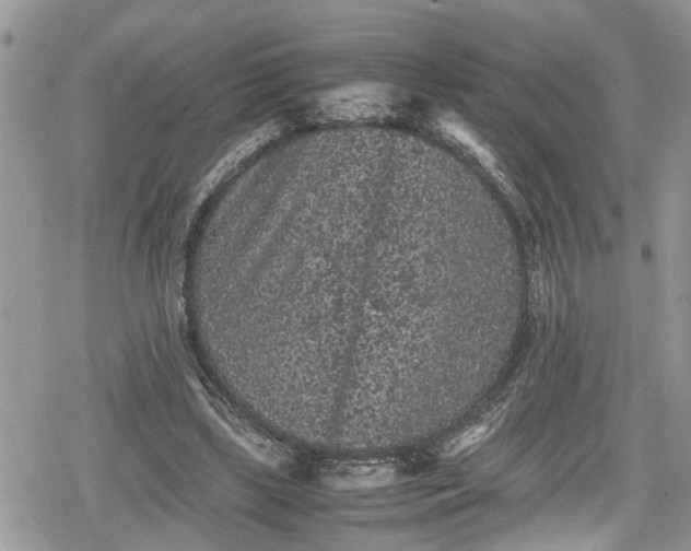 X0000078860443200611271416