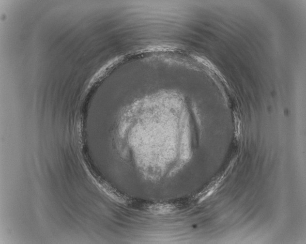 X0000078860444200611271416