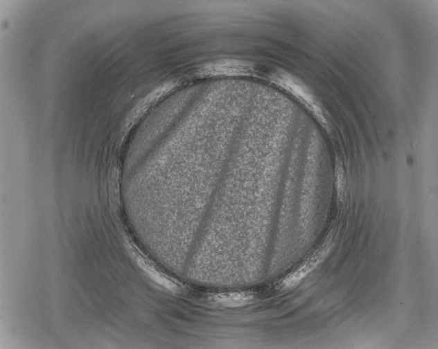 X0000078860445200611271416