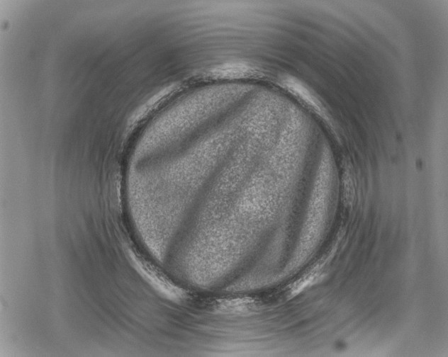 X0000078860446200611271416