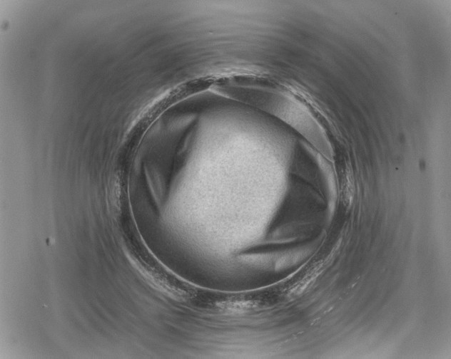 X0000078860448200611271416