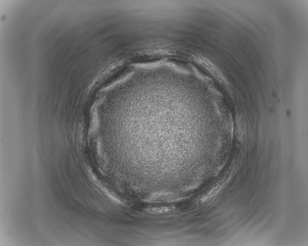 X0000078860449200611271416