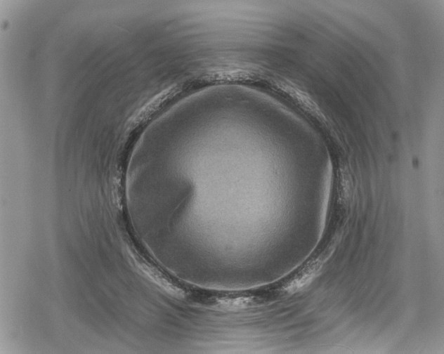 X0000078860450200611271416