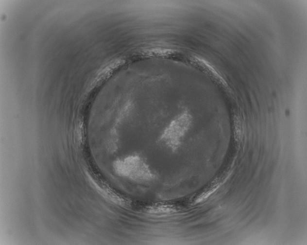 X0000078860451200611271416