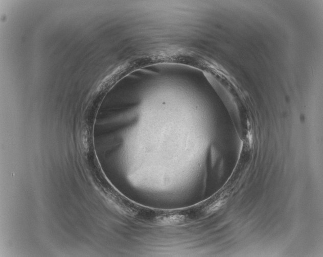 X0000078860452200611271416