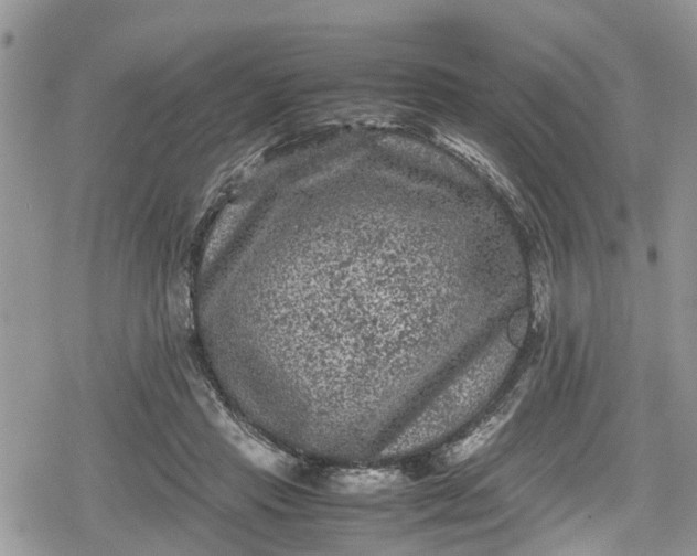 X0000078860453200611271416