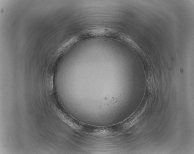 X0000078860454200611271416