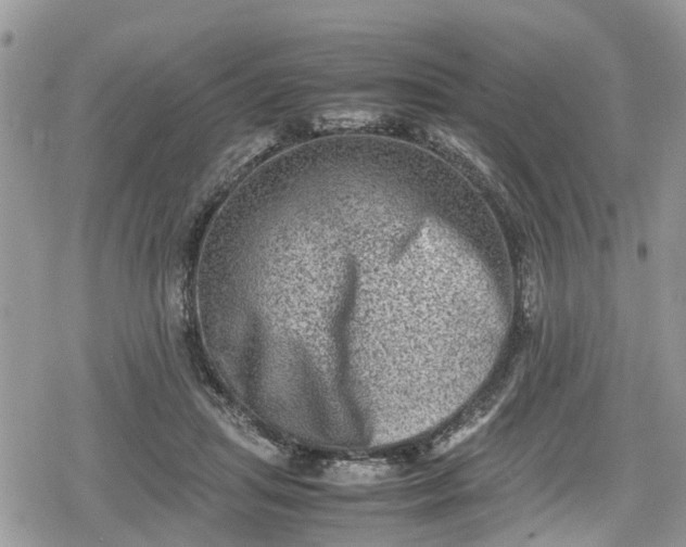 X0000078860455200611271416