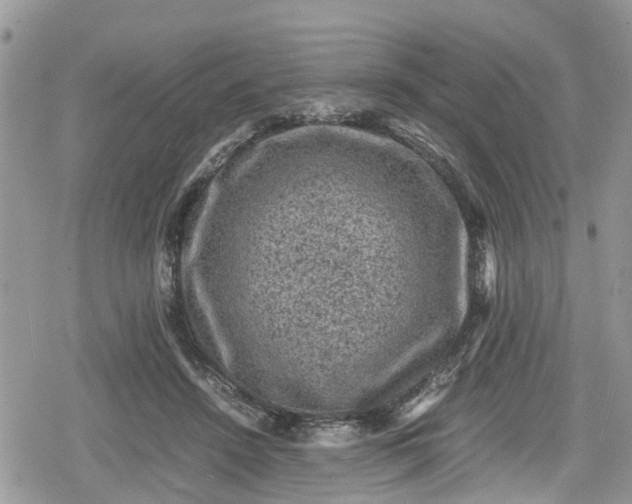 X0000078860456200611271416