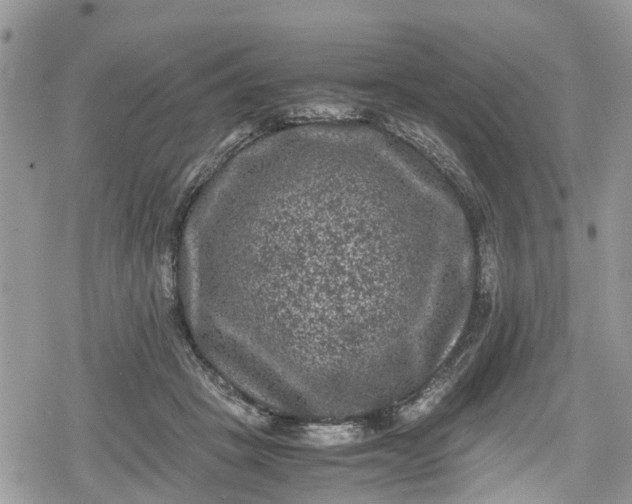 X0000078860457200611271416