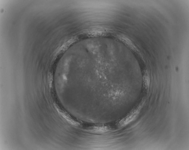 X0000078860458200611271416