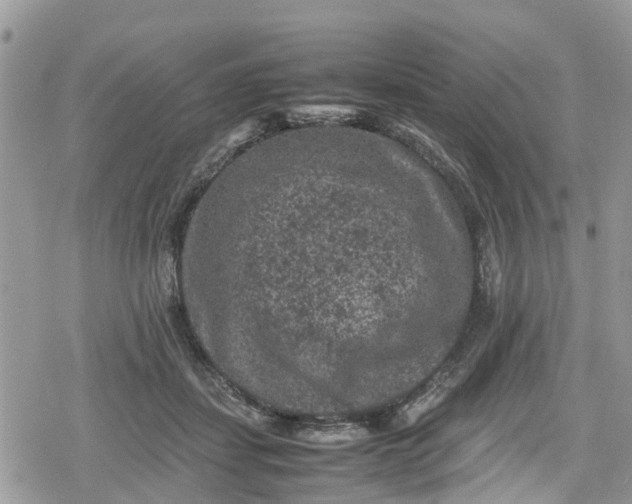 X0000078860459200611271416