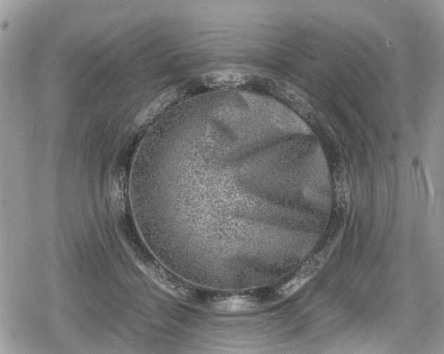 X0000078860460200611271416