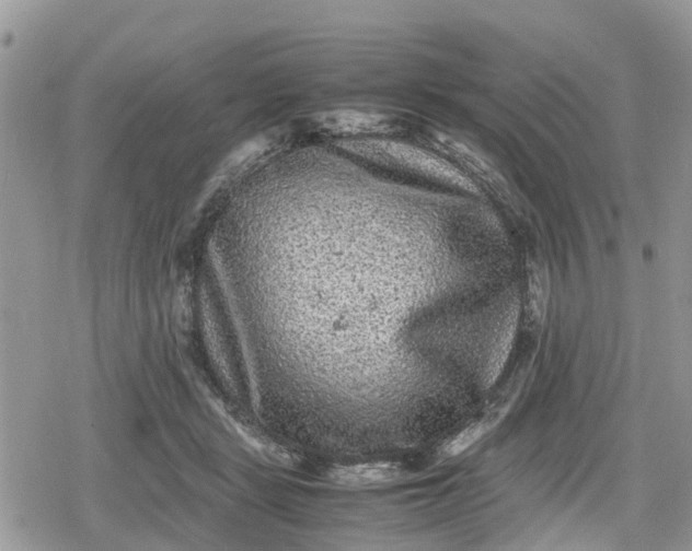 X0000078860461200611271416