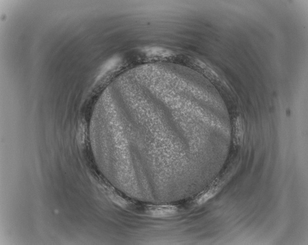 X0000078860463200611271416