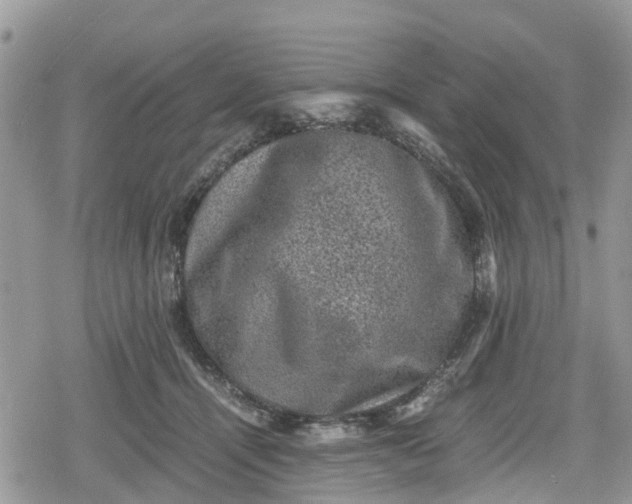 X0000078860464200611271416