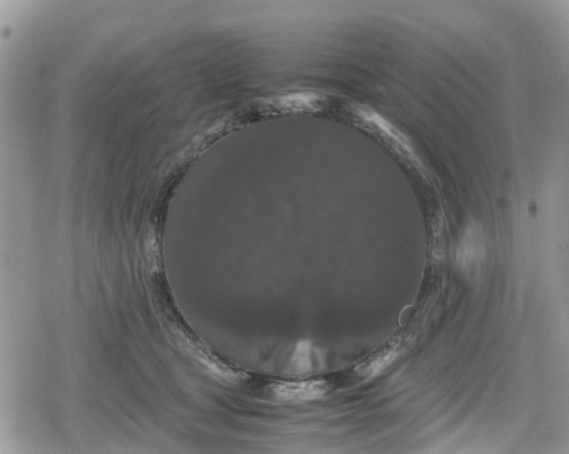 X0000078860465200611271416