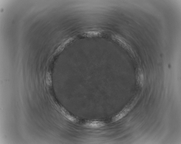 X0000078860467200611271416