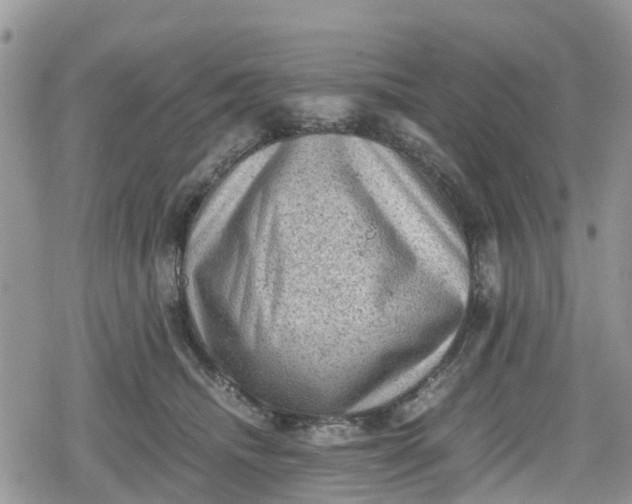 X0000078860468200611271416