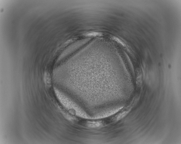 X0000078860469200611271416