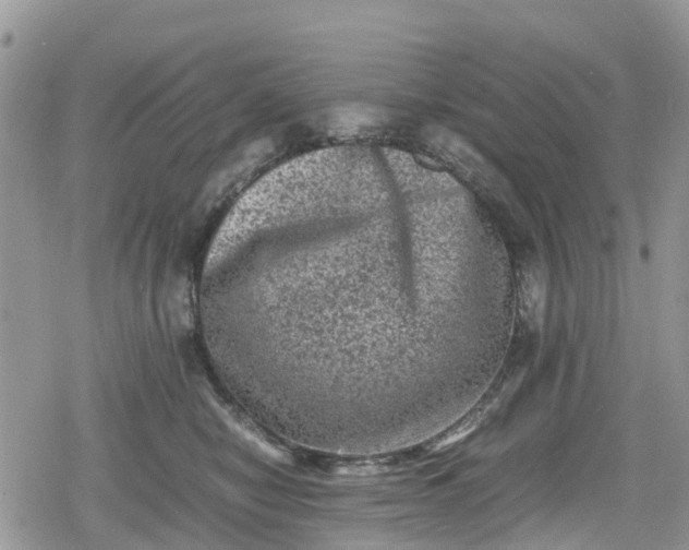 X0000078860470200611271416