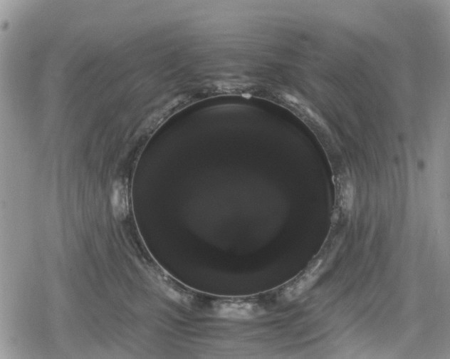 X0000078860471200611271416