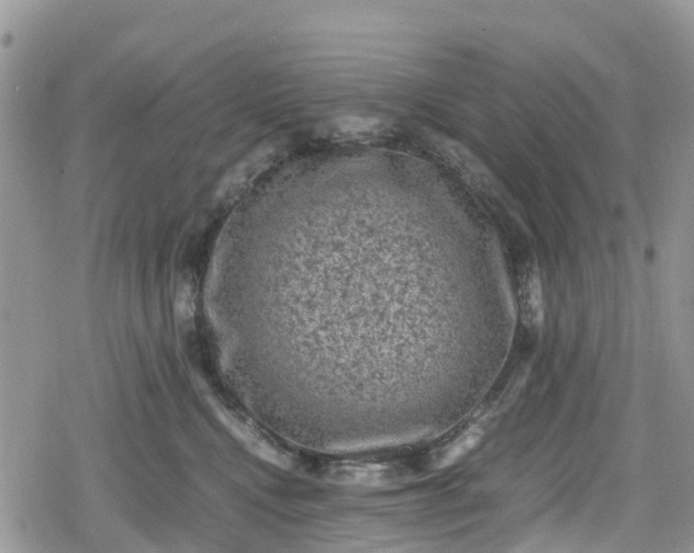 X0000078860472200611271416