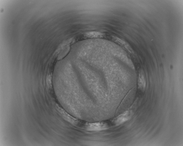 X0000078860473200611271416