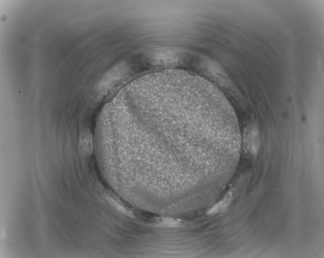 X0000078860474200611271416