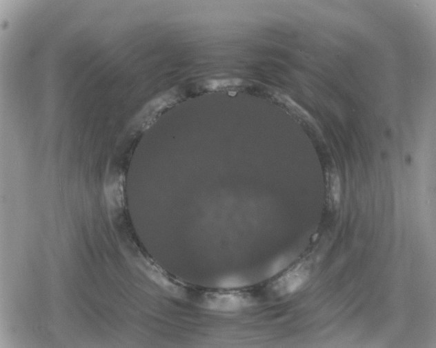 X0000078860475200611271416