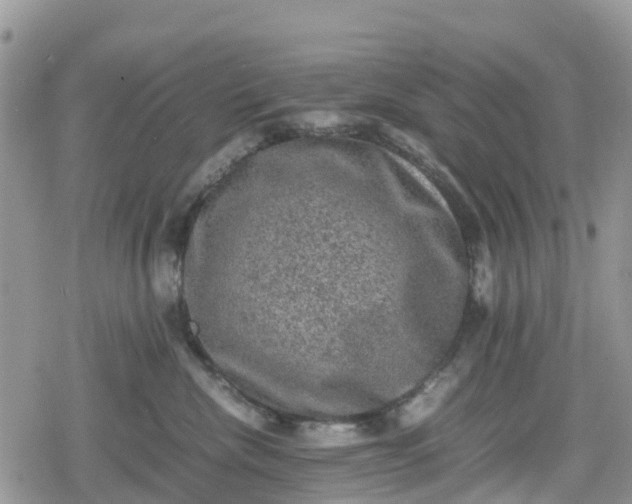 X0000078860476200611271416